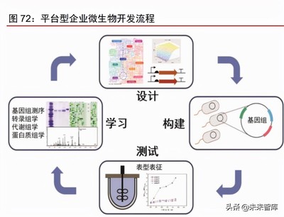 合成生物行业深度报告:合成生物学蓬勃发展,市场空间广阔